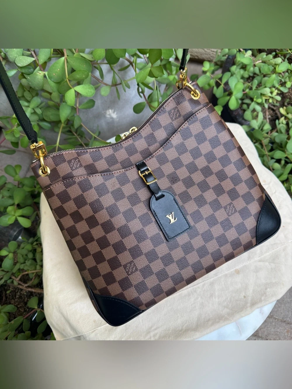 Louis Vuitton Odeon NM MM